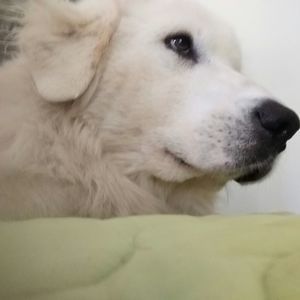 Meet your Posher, Debra